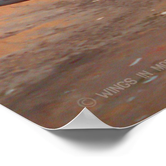 F-111F AARDVARK POSTER (Hoek)