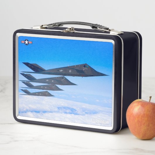 F-117A NIGHTHAWK (In situ)