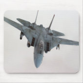 F-14 MUISMAT (Voorkant)
