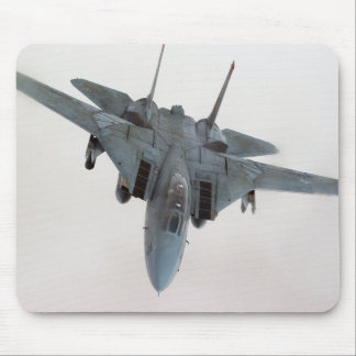 F-14 MUISMAT