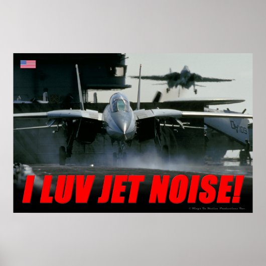 F-14 Poster met geluidsemissie (Voorkant)