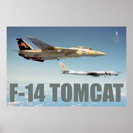 F-14 TOMCAT "BEER" POSTER (Voorkant)