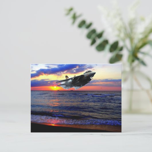 F-14 TOMCAT BRIEFKAART (Staand voorkant)