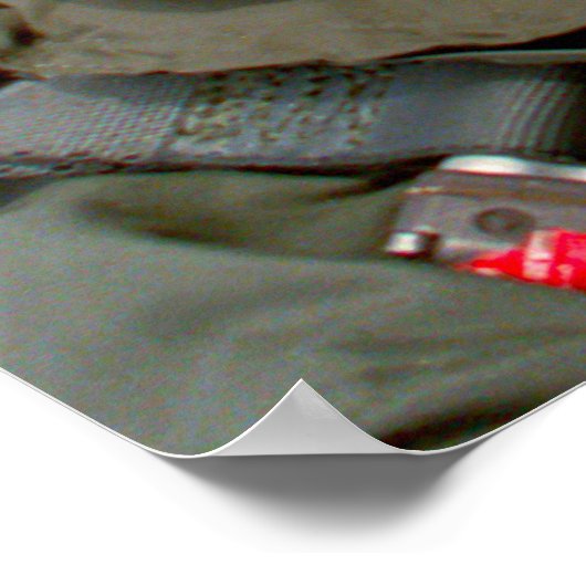 F-14 TOMCAT "CHECK SIX" POSTER (Hoek)