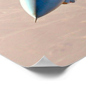 F-14 TOMCAT "DESERT PATROL" POSTER (Hoek)