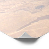 F-14 TOMCAT "DESERT PATROL" POSTER (Hoek)