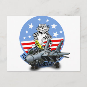 F-14 TOMCAT Forever Briefkaart