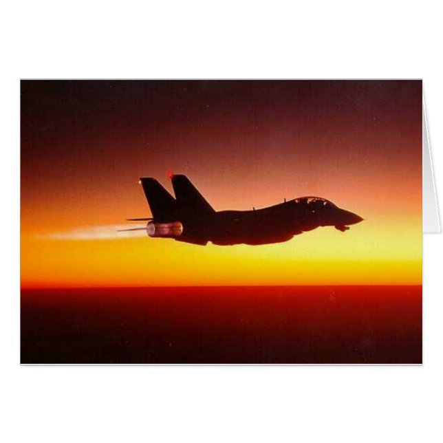 F-14 TOMCAT IN NA-BURNER (Voorkant Horizontaal)