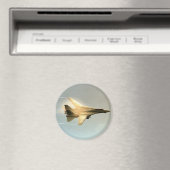 F-14 TOMCAT MET VAPOR MAGNEET (Insitu (Vaatwasser))
