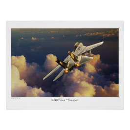 F-14 Tomcat Perfect Poster