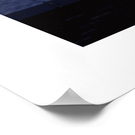 F-14 Tomcat Poster (Hoek)