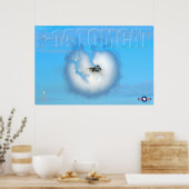 F-14 TOMCAT POSTER (Keuken)