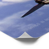 F-14 TOMCAT POSTER (Hoek)