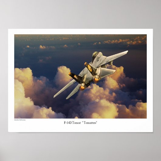 F-14 Tomcat Poster (Voorkant)