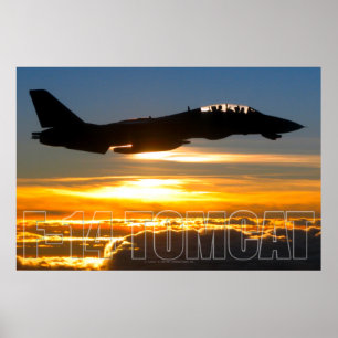 F-14 TOMCAT POSTER
