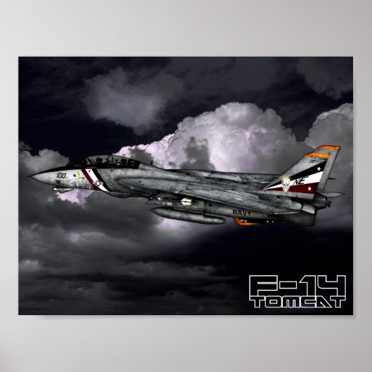 F-14 Tomcat Poster (Voorkant)