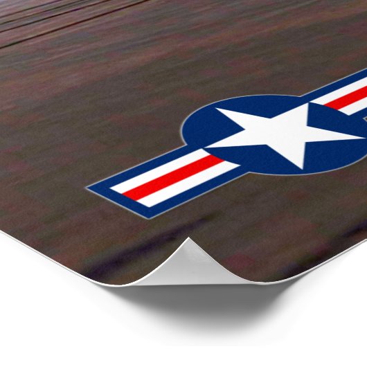 F-14 TOMCAT POSTER (Hoek)