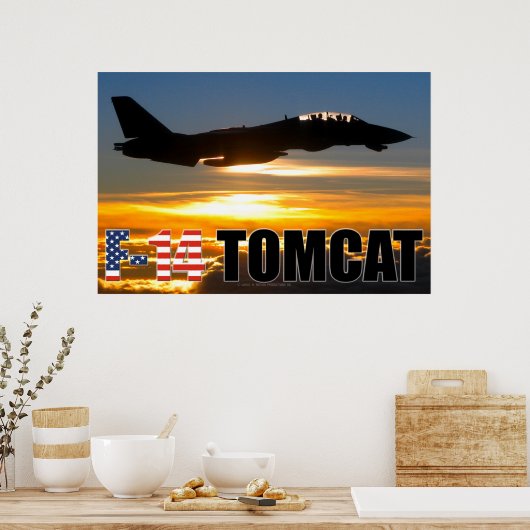 F-14 TOMCAT POSTER (Keuken)