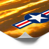 F-14 TOMCAT POSTER (Hoek)