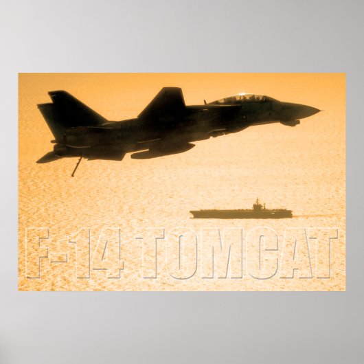 F-14 TOMCAT POSTER (Voorkant)