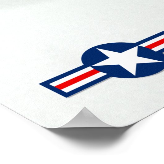 F-14 TOMCAT POSTER (Hoek)