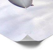 F-14 TOMCAT POSTER (Hoek)