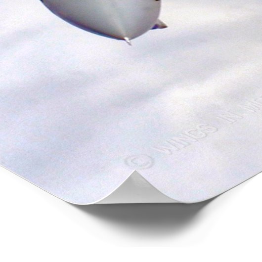 F-14 TOMCAT POSTER (Hoek)