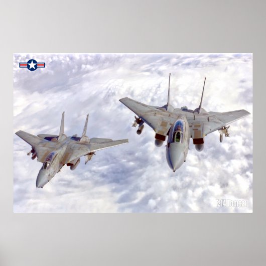 F-14 TOMCAT POSTER (Voorkant)