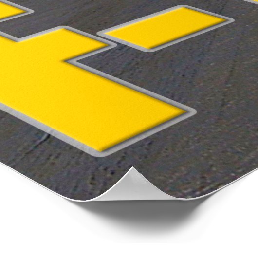 F-14 TOMCAT POSTER (Hoek)