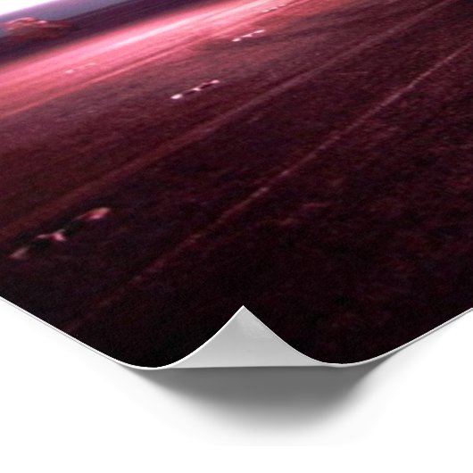 F-14 Tomcat-Poster Poster (Hoek)