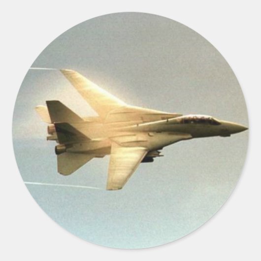 F-14 TOMCAT RONDE STICKER (Voorkant)