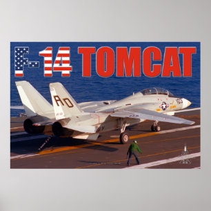 F-14 TOMCAT "TRAP"-POSTER POSTER