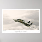 F-14A TOMCAT VF-84 JOLLY ROGERS POSTER (Voorkant)