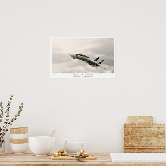 F-14A TOMCAT VF-84 JOLLY ROGERS POSTER (Keuken)