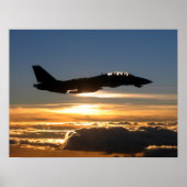 F-14D Tomcat Poster (Voorkant)