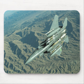 F-15 MUISMAT