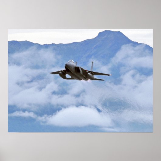 F-15 Vliegtuig met breukrijst Poster (Voorkant)