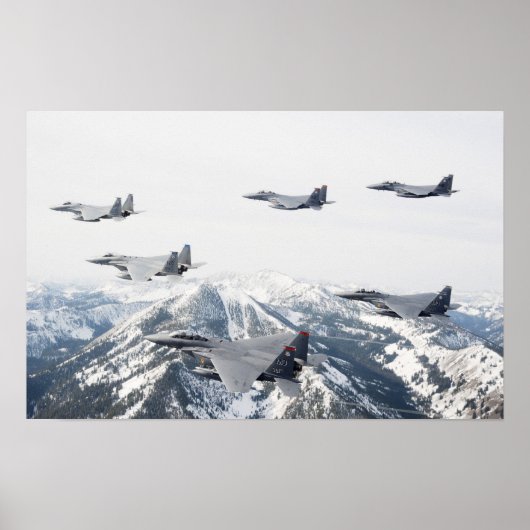 F-15 Vliegtuig met breukrijst Poster (Voorkant)