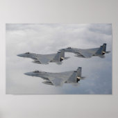 F-15 Vliegtuig met breukrijst Poster (Voorkant)