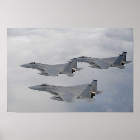 F-15 Vliegtuig met breukrijst Poster (Voorkant)