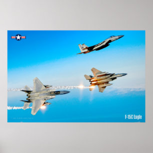 F-15C ELGF POSTER