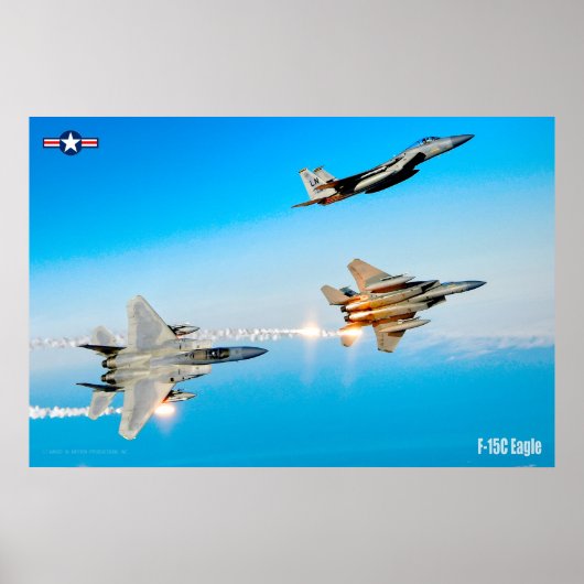 F-15C ELGF POSTER (Voorkant)