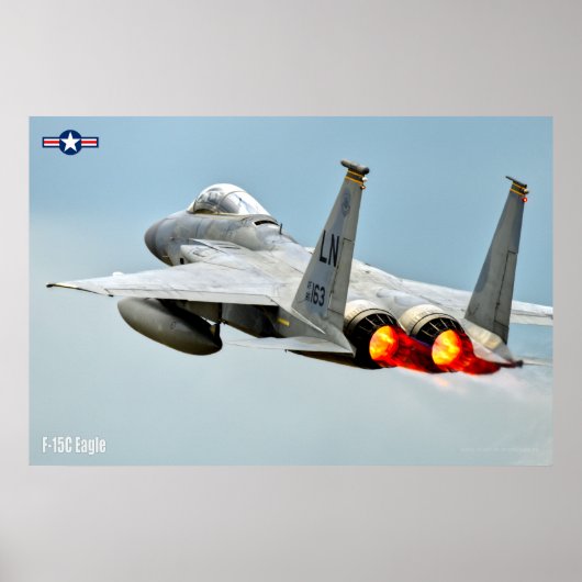 F-15C ELGF POSTER (Voorkant)