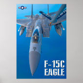 F-15C ELGF POSTER (Voorkant)
