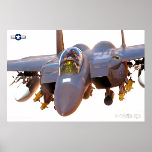 F-15E STRIKE ELGF POSTER