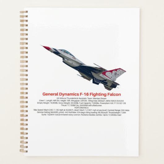 F-16 Fighter Jet tegen valk Planner (Voorkant)