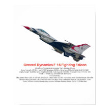 F-16 Fighter Jet tegen valk