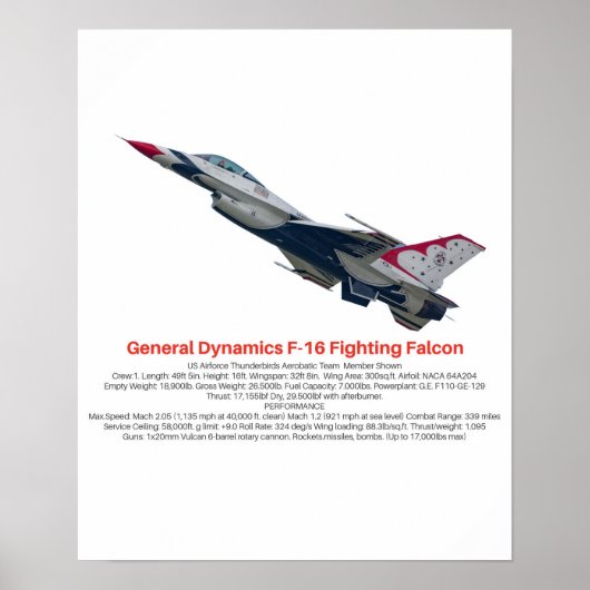 F-16 Fighter Jet tegen valk Poster (Voorkant)