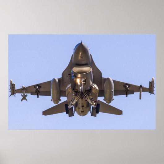 F-16 Strijd tegen valk Poster (Voorkant)