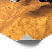 F-16 Strijd tegen valk Poster (Hoek)